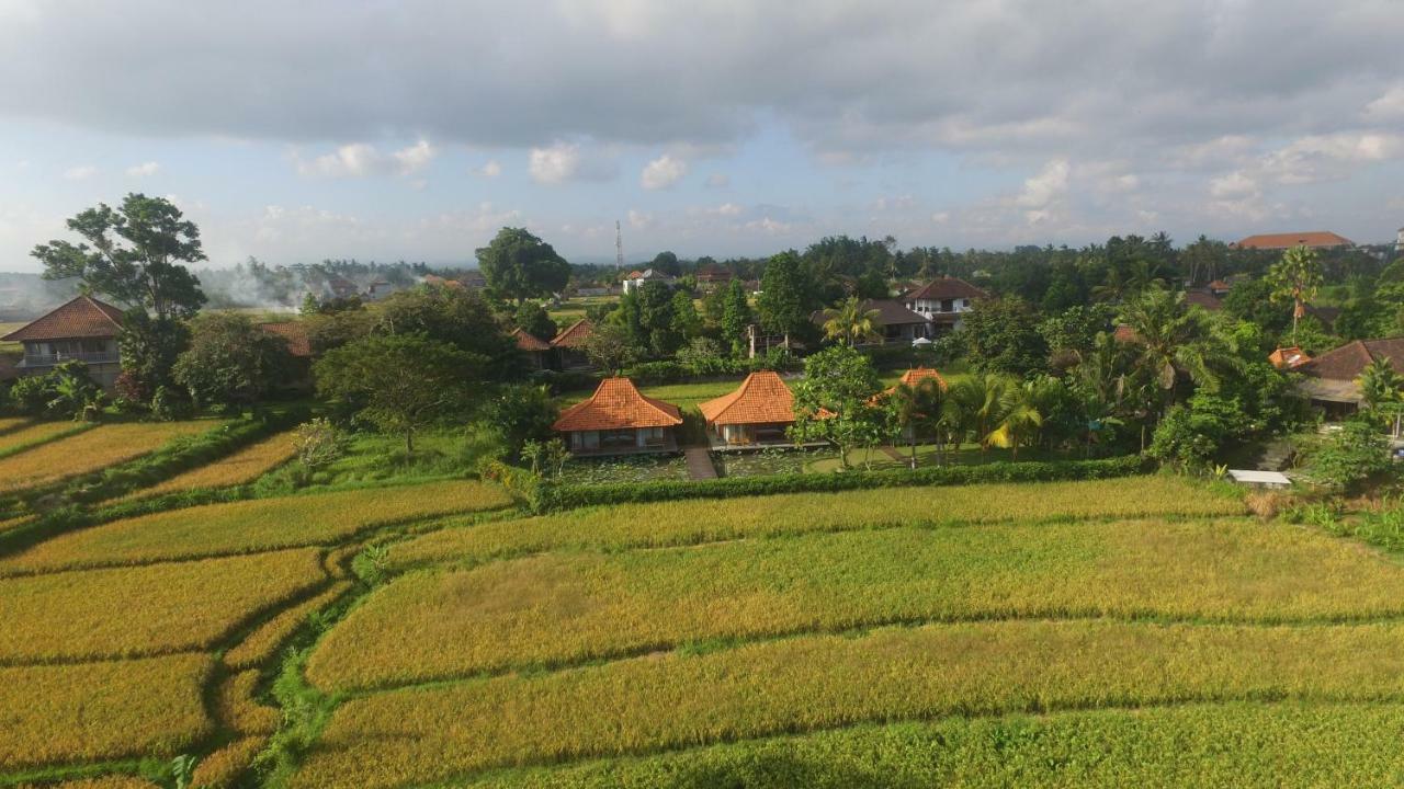 Griya Kcb Villa Ubud Mas  Екстериор снимка