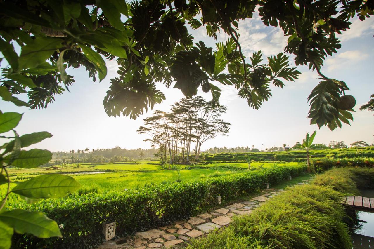 Griya Kcb Villa Ubud Mas  Екстериор снимка